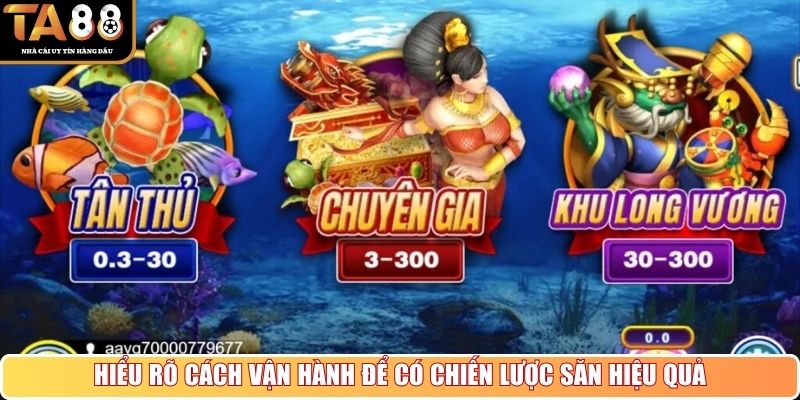 Hiểu rõ cách vận hành để có chiến lược săn hiệu quả